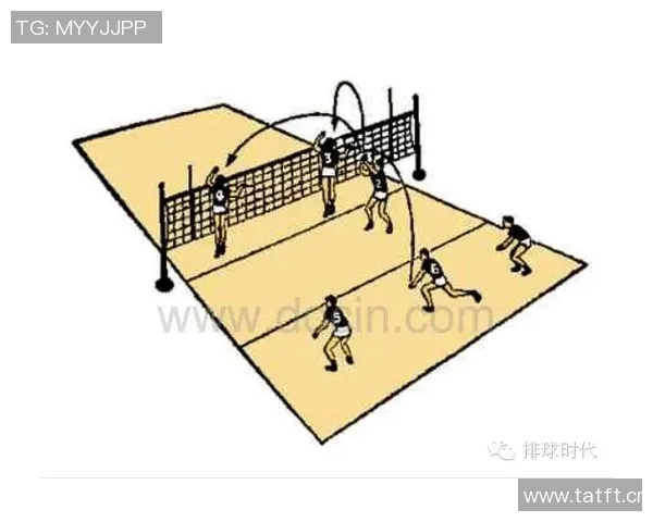 杭州排球队的转换打法深度分析与战术解读
