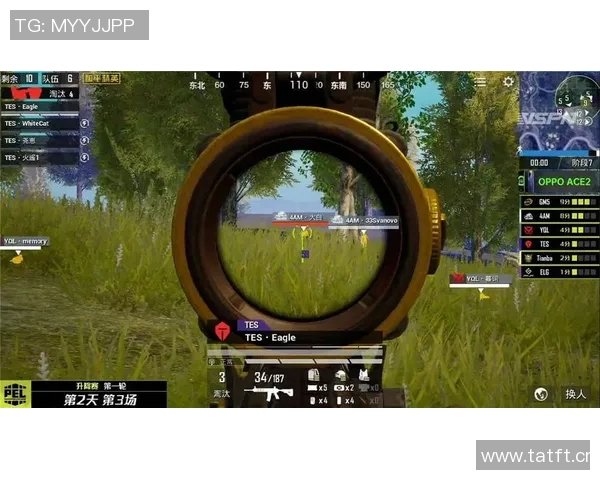 热议和平精英FPX如何通过技术创新引领游戏竞技新潮流